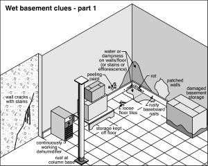 Wet Basement Clues